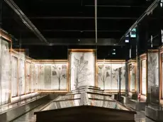 La Sala delle Palme è stata riconosciuta come geo-collezione di livello mondiale