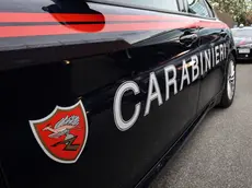 L'aggressione è avvenuta a Terrassa Padovana