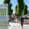 La festa dei bisi di Baone