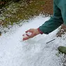 La grandine caduta oggi nel Padovano