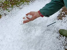 La grandine caduta oggi nel Padovano