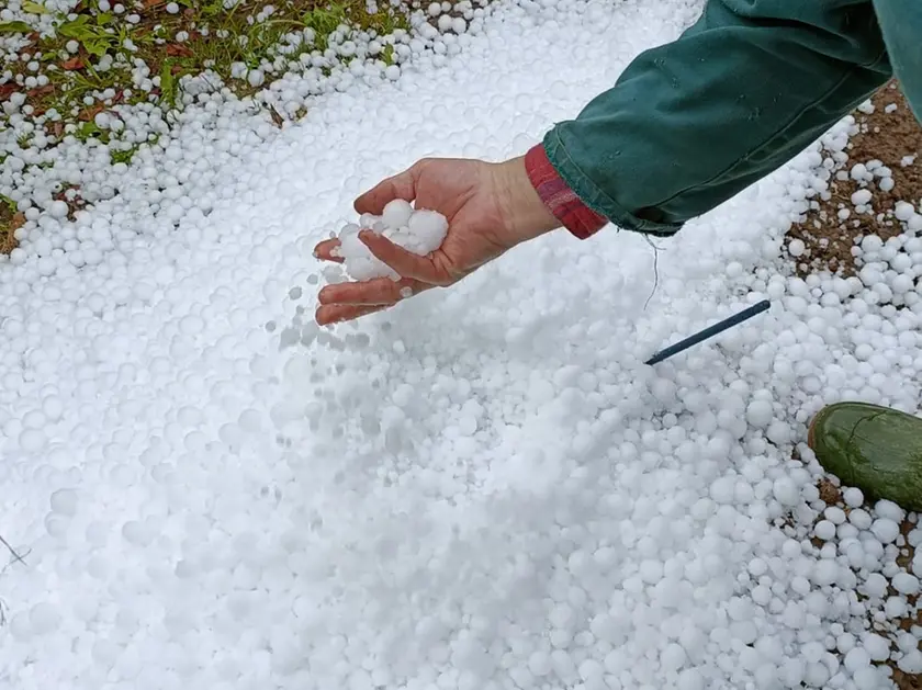 La grandine caduta oggi nel Padovano