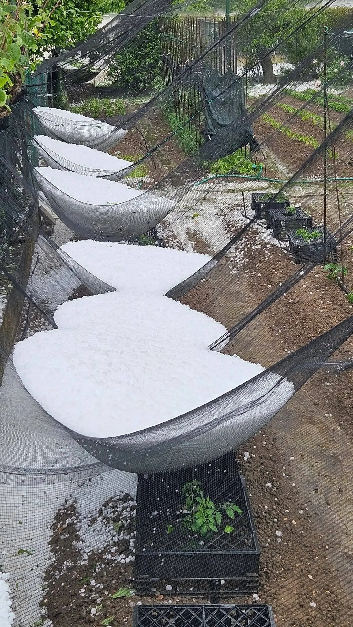 Foto gruppo Facebook "Veneto Meteo e Clima"