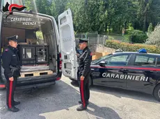 Tre persone denunciate e oltre 60mila euro di refurtiva recuperata tra Vicentino e Pordenonese