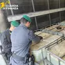 Le taniche sequestrate dalla Finanza
