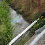 Il rio si trova all'interno dell'area protetta del parco Colli