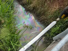Il rio si trova all'interno dell'area protetta del parco Colli