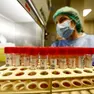 Elaborato il piano regionale per fronteggiare l'hantavirus