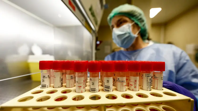 Elaborato il piano regionale per fronteggiare l'hantavirus