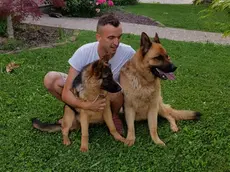 Morto per emorragia cerebrale Andrea Naliato, 40 anni