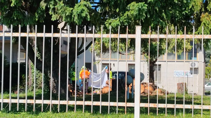 Este, anziano cade da una scala potando un albero