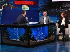 Gino Cecchettin, ospite a Che tempo che fa, ha parlato del rapporto dei giovani con la violenza di genere
