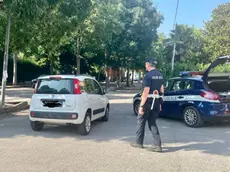 Un controllo degli agenti della polizia locale di Vigonza