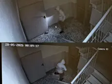 I frame del ladro durante il furto