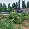 Luca Tecchiato di Meteo 5.0.
