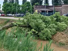 Luca Tecchiato di Meteo 5.0.