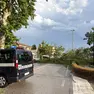 Il crollo del platano
