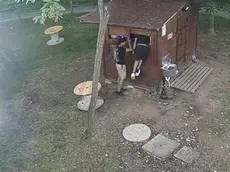 I due vandali in azione (foto Piran)