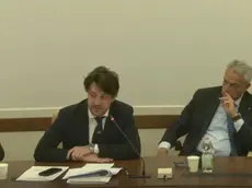 Il presidente Stefani durante l'audizione parlamentare