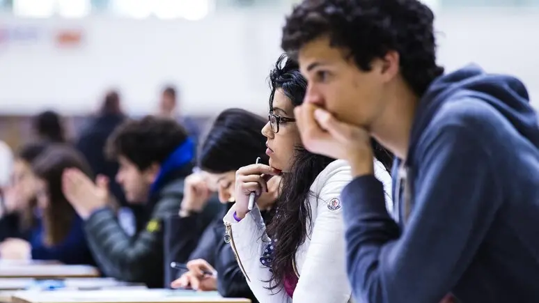 Università di Padova, laureati più occupati della media italiana: l’84,2% trova lavoro in un anno