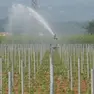 Irrigazione nella Bassa Padovana