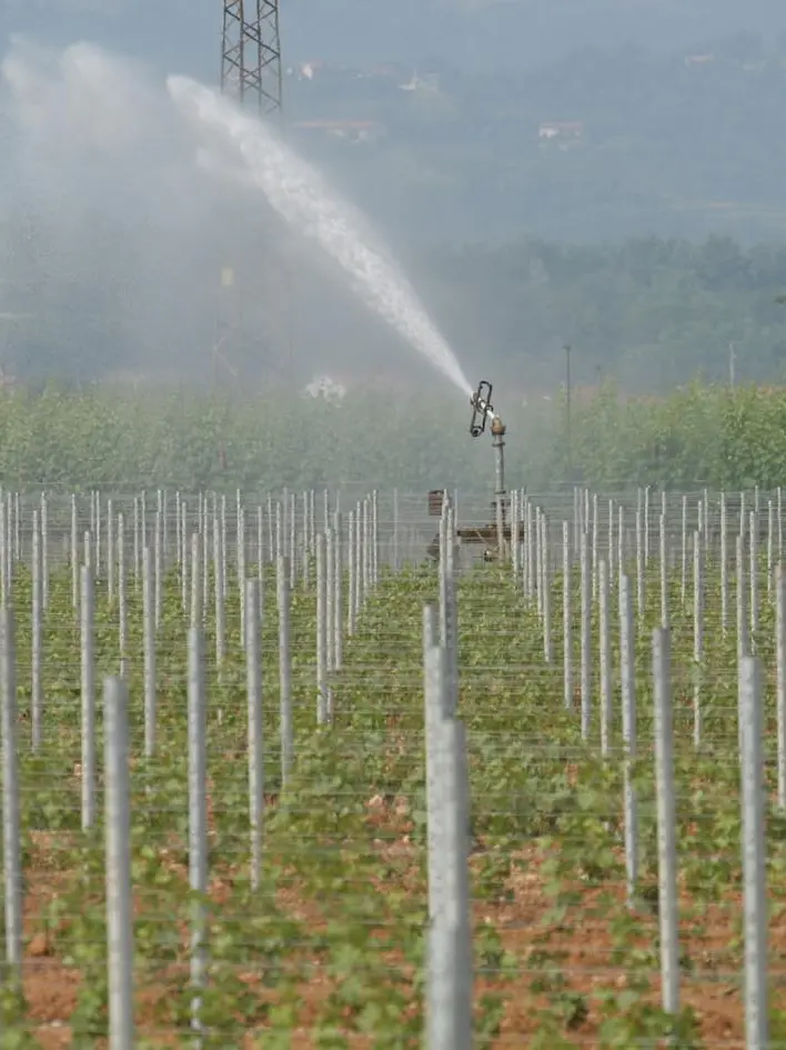 Irrigazione nella Bassa Padovana