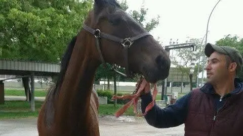 Stefano Pipesso con uno dei suoi cavalli