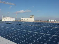 La De Angeli Prodotti di Bagnoli investe nelle energie verdi