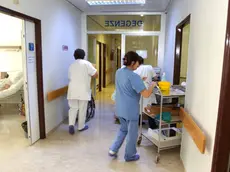 Nel 2025 55 donne hanno dovuto dare l'addio al lavoro nella sanità pubblica a Padova