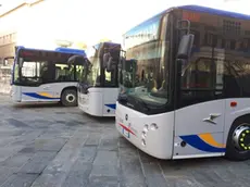Alcuni mezzi di Busitalia