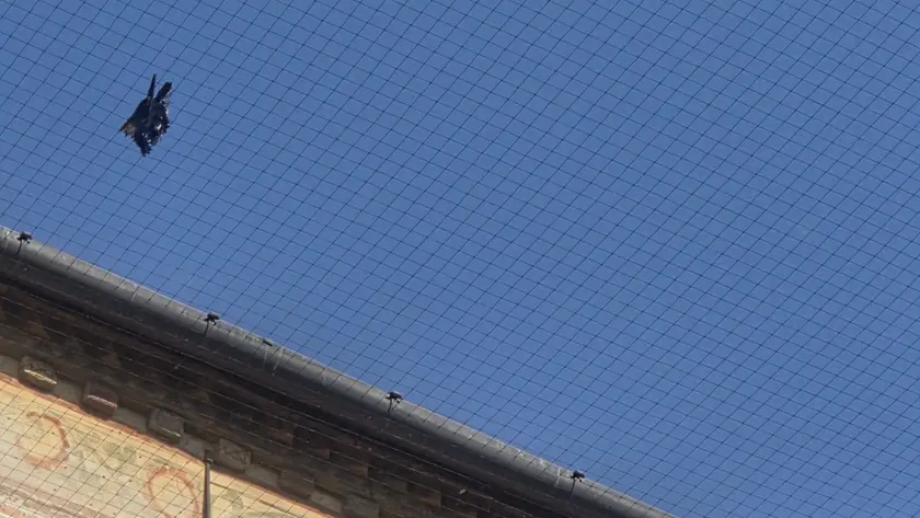 Una delle reti della Basilica con un uccello impigliato