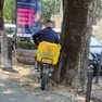 Un rider cerca riparo sotto un albero