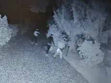 I ladri ripresi dalle telecamere di videosorveglianza