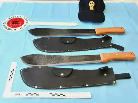 I machete sequestrati
