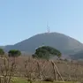 Monte Venda