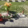 Una delle tombe depredate