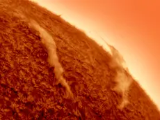 Suspended Plasma © Mario Cogo - ZWO Astronomy Photographer of the Year 2026 Our Sun