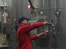Un lavoratore in cantina