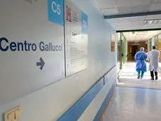 Centro Gallucci
