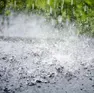Per sabato 11 è stata diramata l'allerta gialla per tutta la giornata