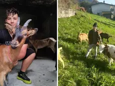 Alessio e Antonio fanno rivivere la vecchia stalla di Tualis