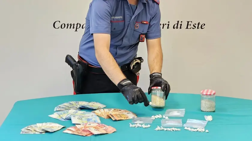La cocaina sequestrata dai carabinieri