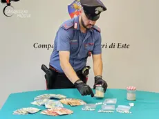 La cocaina sequestrata dai carabinieri