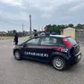 Un controllo stradale dei carabinieri