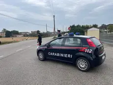 Un controllo stradale dei carabinieri