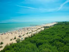 Una veduta aerea dall'alto della spiaggia di Cavallino piena di turisti con alle spalle la caratteristica pineta