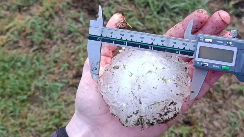 Un chicco di grandine caduto nella notte di sabato nel rodigino