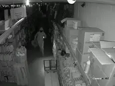 Uno dei ladri immortalato al Jal Mercatone di Camposampiero