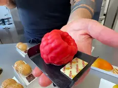 La frutta realistica