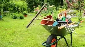 Una carriola con attrezzi da giardinaggio